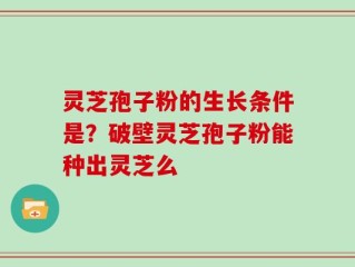 灵芝孢子粉的生长条件是？破壁灵芝孢子粉能种出灵芝么