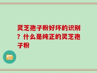 灵芝孢子粉好坏的识别？什么是纯正的灵芝孢子粉