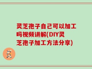 灵芝孢子自己可以加工吗视频讲解(DIY灵芝孢子加工方法分享)