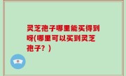 灵芝孢子哪里能买得到呀(哪里可以买到灵芝孢子？)