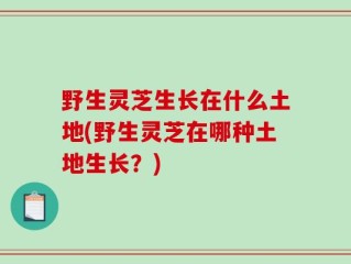 野生灵芝生长在什么土地(野生灵芝在哪种土地生长？)