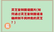 灵芝鉴别图谱图片(如何通过灵芝鉴别图谱准确辨别不同种类的灵芝？)