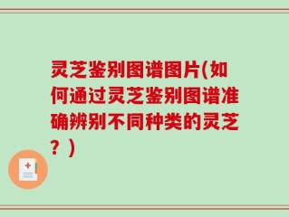 灵芝鉴别图谱图片(如何通过灵芝鉴别图谱准确辨别不同种类的灵芝？)