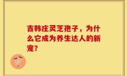吉韩庄灵芝孢子，为什么它成为养生达人的新宠？