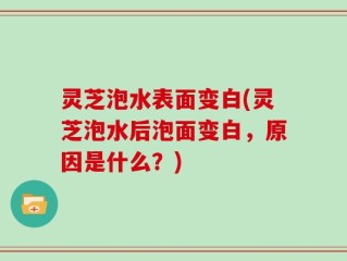 灵芝泡水表面变白(灵芝泡水后泡面变白，原因是什么？)