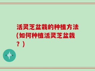 活灵芝盆栽的种植方法(如何种植活灵芝盆栽？)