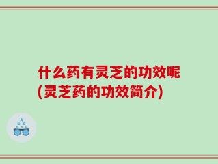 什么药有灵芝的功效呢(灵芝药的功效简介)