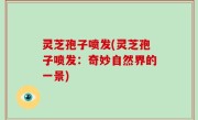 灵芝孢子喷发(灵芝孢子喷发：奇妙自然界的一景)