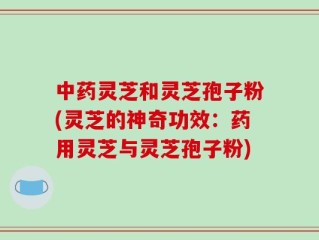 中药灵芝和灵芝孢子粉(灵芝的神奇功效：药用灵芝与灵芝孢子粉)