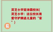 灵芝小学宋沛霖校长(灵芝小学：这位校长用爱守护腾退儿童的“家”)