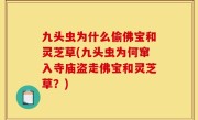 九头虫为什么偷佛宝和灵芝草(九头虫为何窜入寺庙盗走佛宝和灵芝草？)