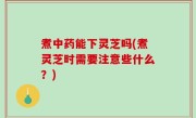 煮中药能下灵芝吗(煮灵芝时需要注意些什么？)