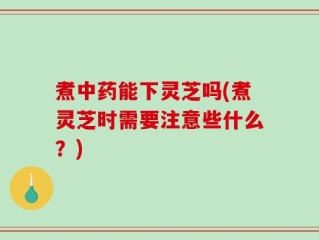 煮中药能下灵芝吗(煮灵芝时需要注意些什么？)