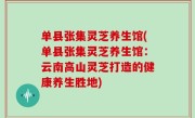 单县张集灵芝养生馆(单县张集灵芝养生馆：云南高山灵芝打造的健康养生胜地)