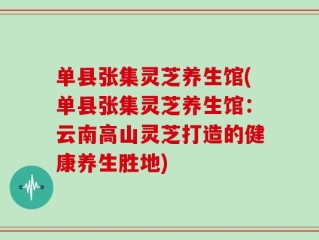 单县张集灵芝养生馆(单县张集灵芝养生馆：云南高山灵芝打造的健康养生胜地)