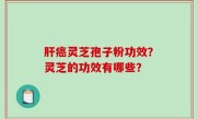 肝癌灵芝孢子粉功效？灵芝的功效有哪些？