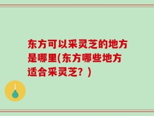 东方可以采灵芝的地方是哪里(东方哪些地方适合采灵芝？)