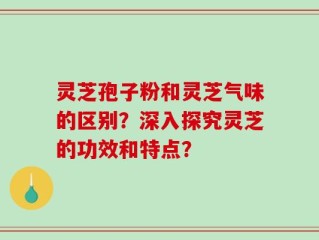 灵芝孢子粉和灵芝气味的区别？深入探究灵芝的功效和特点？