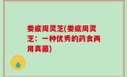 娄底周灵芝(娄底周灵芝：一种优秀的药食两用真菌)