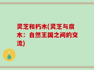 灵芝和朽木(灵芝与腐木：自然王国之间的交流)