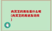 肉灵芝的用处是什么呢(肉灵芝的用途及功效)