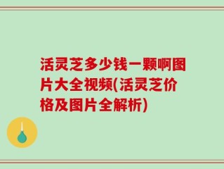 活灵芝多少钱一颗啊图片大全视频(活灵芝价格及图片全解析)
