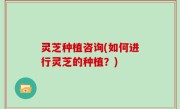 灵芝种植咨询(如何进行灵芝的种植？)