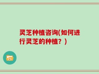 灵芝种植咨询(如何进行灵芝的种植？)