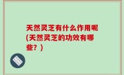 天然灵芝有什么作用呢(天然灵芝的功效有哪些？)