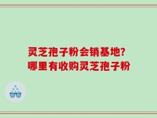 灵芝孢子粉会销基地？哪里有收购灵芝孢子粉