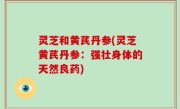 灵芝和黄芪丹参(灵芝黄芪丹参：强壮身体的天然良药)
