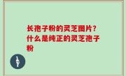 长孢子粉的灵芝图片？什么是纯正的灵芝孢子粉