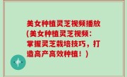 美女种植灵芝视频播放(美女种植灵芝视频：掌握灵芝栽培技巧，打造高产高效种植！)