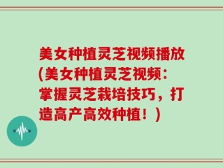 美女种植灵芝视频播放(美女种植灵芝视频：掌握灵芝栽培技巧，打造高产高效种植！)