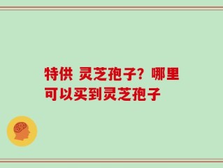 特供 灵芝孢子？哪里可以买到灵芝孢子