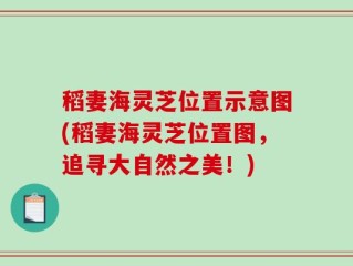 稻妻海灵芝位置示意图(稻妻海灵芝位置图，追寻大自然之美！)