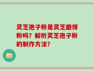 灵芝孢子粉是灵芝磨得粉吗？解析灵芝孢子粉的制作方法？
