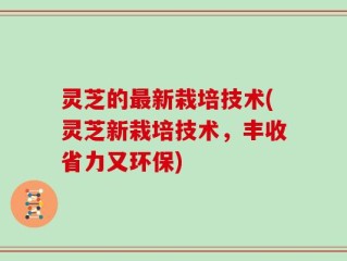 灵芝的最新栽培技术(灵芝新栽培技术，丰收省力又环保)