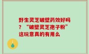 野生灵芝破壁药效好吗？“破壁灵芝孢子粉”这玩意真的有用么