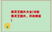 佛灵芝图片大全(详解佛灵芝图片，尽收眼底)