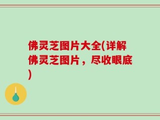 佛灵芝图片大全(详解佛灵芝图片，尽收眼底)