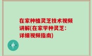 在家种植灵芝技术视频讲解(在家学种灵芝：详细视频指南)