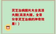 灵芝治病图片大全高清大图(高清大图，全景分享灵芝治病的神奇效果！)