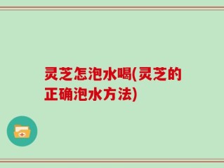 灵芝怎泡水喝(灵芝的正确泡水方法)