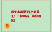 遇见小面灵芝(小面灵芝：一份臻品，等你遇见)
