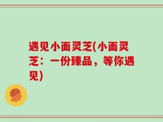 遇见小面灵芝(小面灵芝：一份臻品，等你遇见)