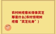 农村树疙瘩长得像灵芝那是什么(农村惊现树疙瘩“灵芝化身”)