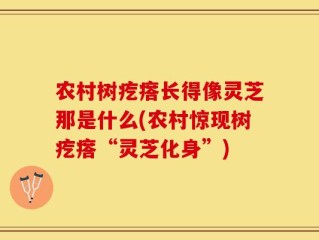 农村树疙瘩长得像灵芝那是什么(农村惊现树疙瘩“灵芝化身”)
