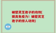 破壁灵芝孢子的功效(提高免疫力！破壁灵芝孢子的惊人功效)