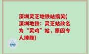 深圳灵芝地铁站搞笑(深圳地铁：灵芝站改名为“灵鸡”站，原因令人捧腹)